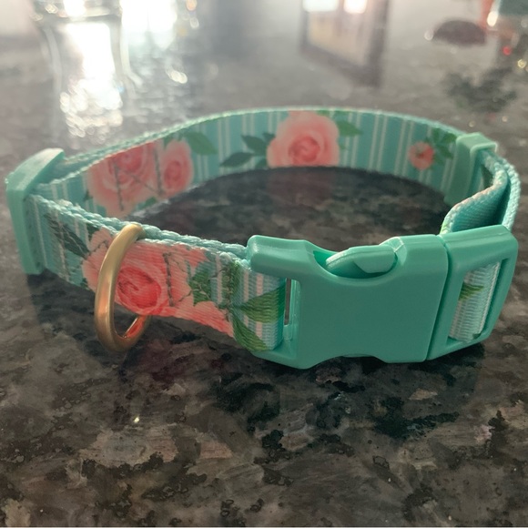 Dog Collar made by Petco - Picture 1 of 2